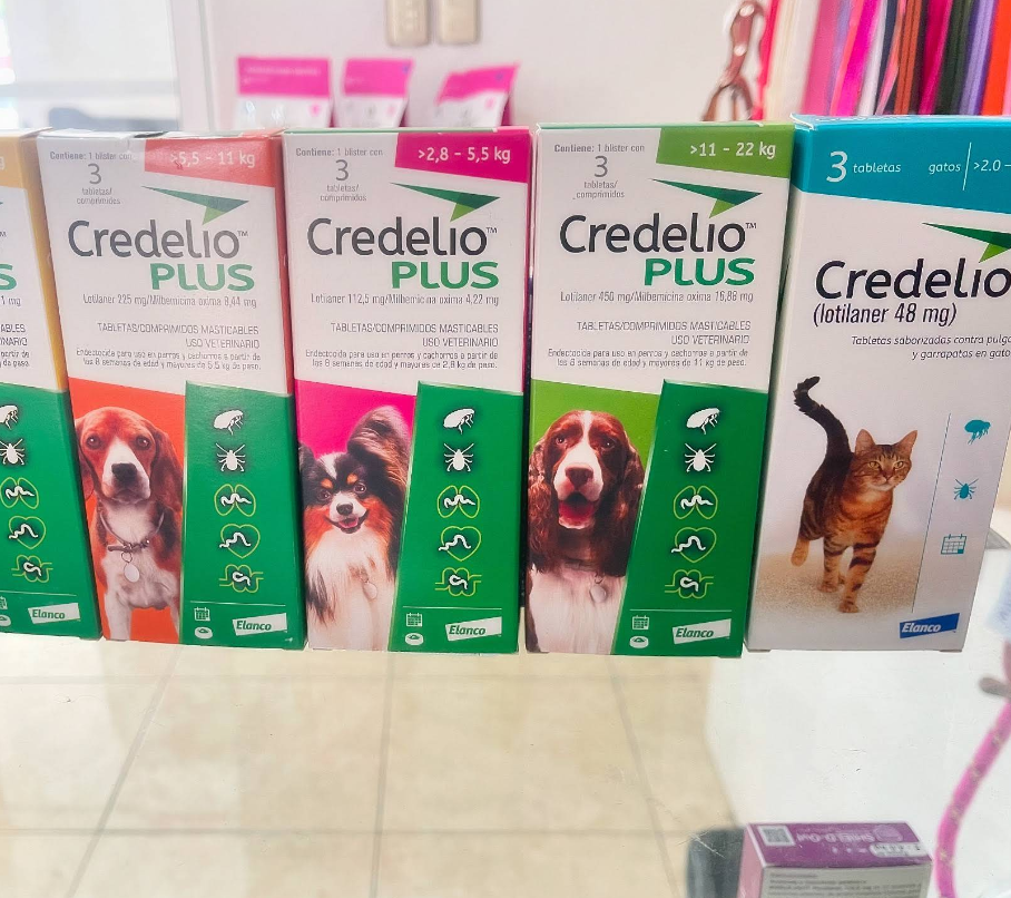 Productos antiparasitarios para perros y gatos